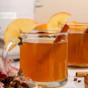 Spiked Apple Cider Crockpot in a Mug