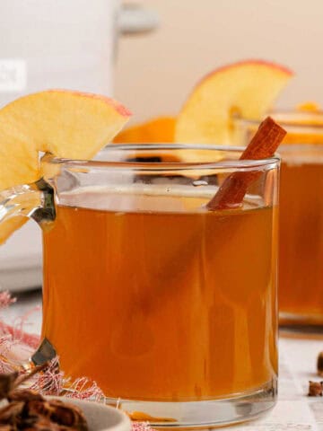 Spiked Apple Cider Crockpot in a Mug