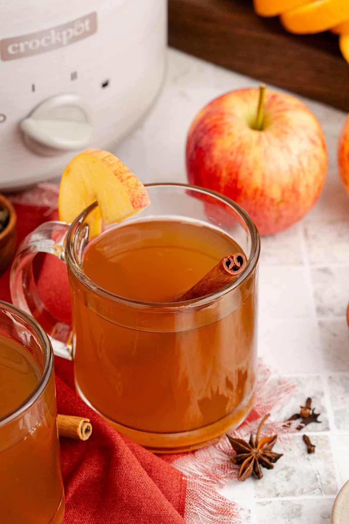 Spiked Apple Cider Crockpot in a Mug