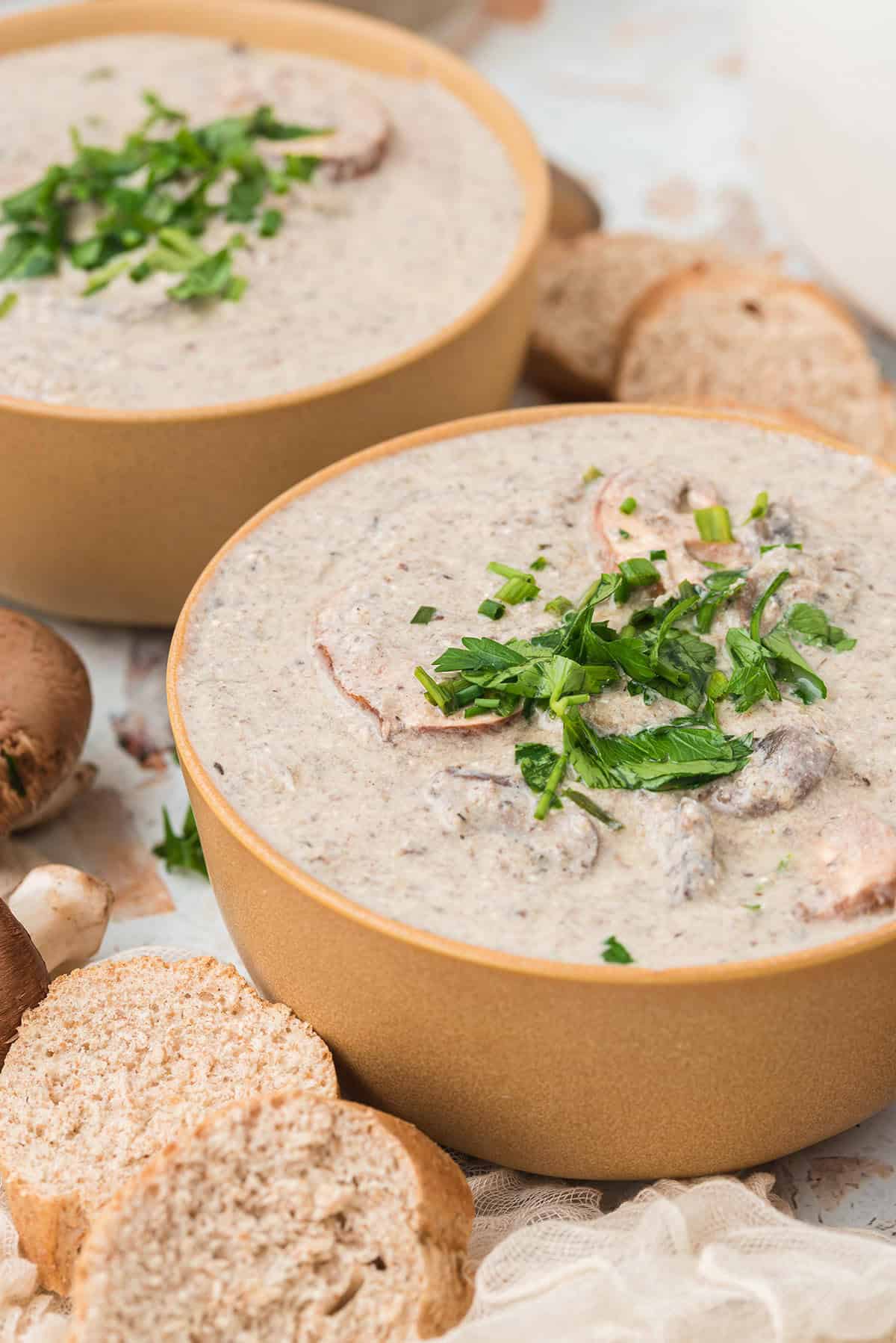 Mushroom Soup Without Cream with Green Garnish