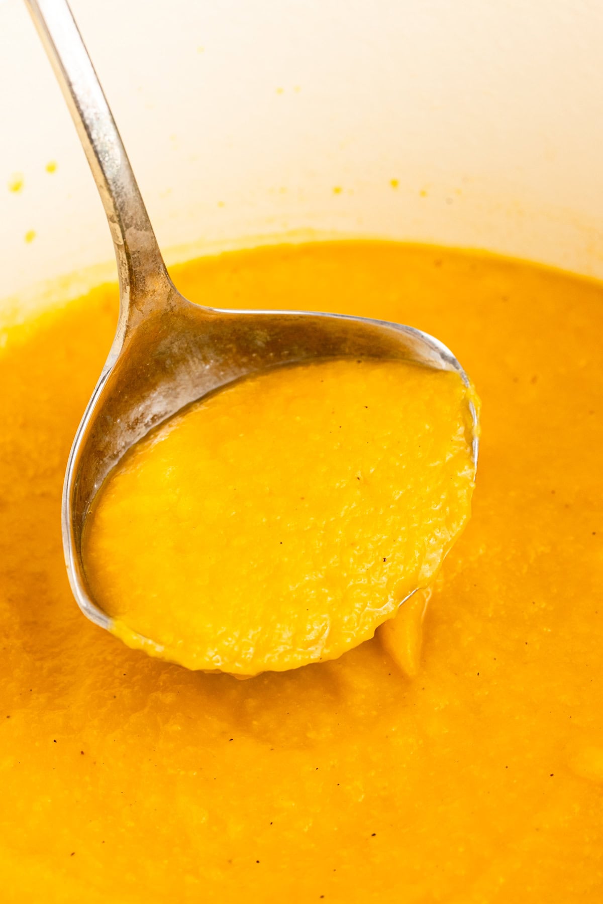 Roasted Butternut Squash and Garlic Soup in a Ladle