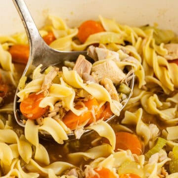 Turkey and Veg Soup Cooked in a Pot Scoop on Ladle