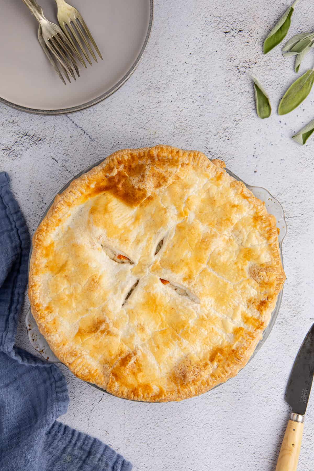 Dad's Leftover Turkey Pot Pie Cooked till Golden