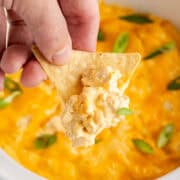 Slow Cooker Buffalo Chicken Wing Dip on a Chip