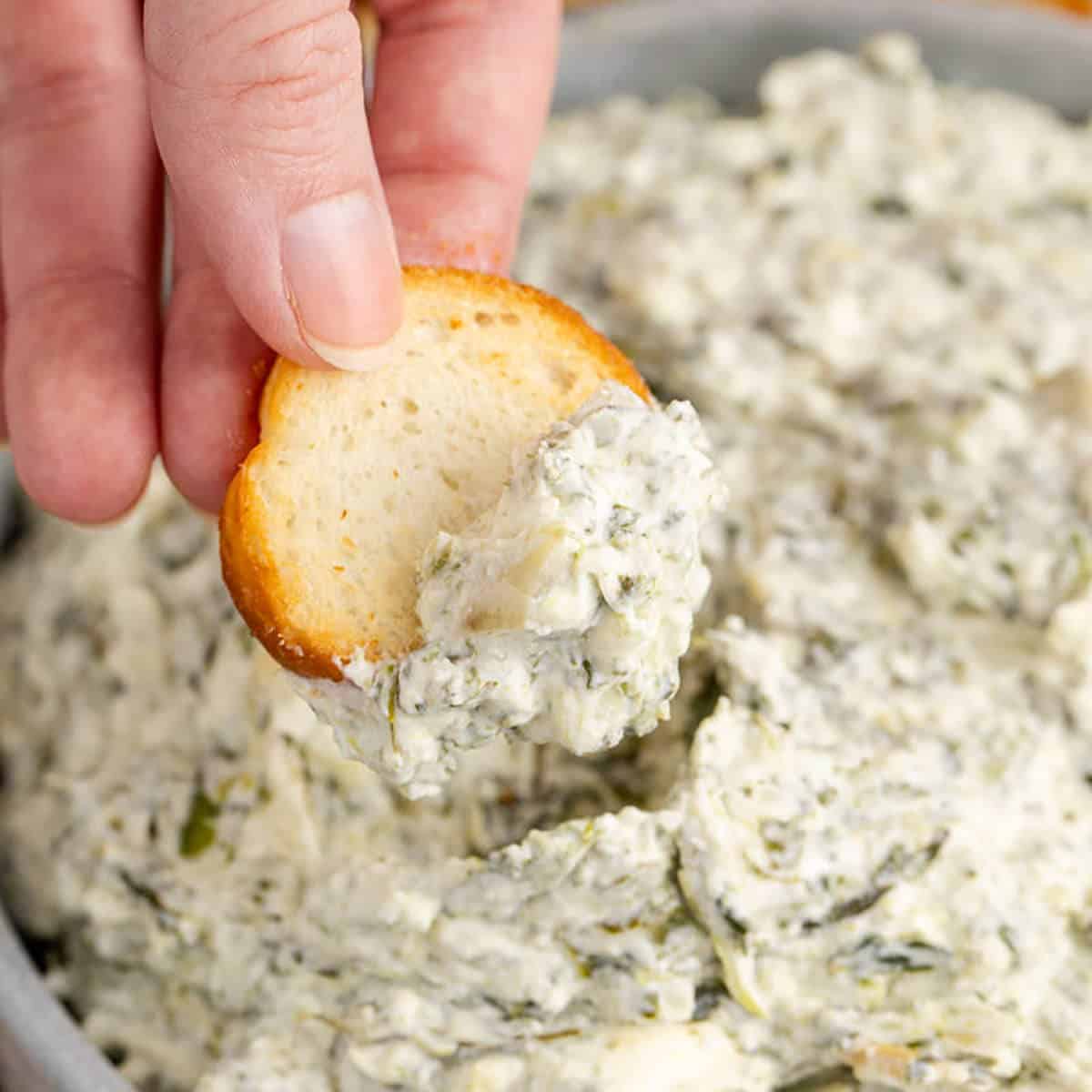 Spinach and Artichoke Dip in Slow Cooker