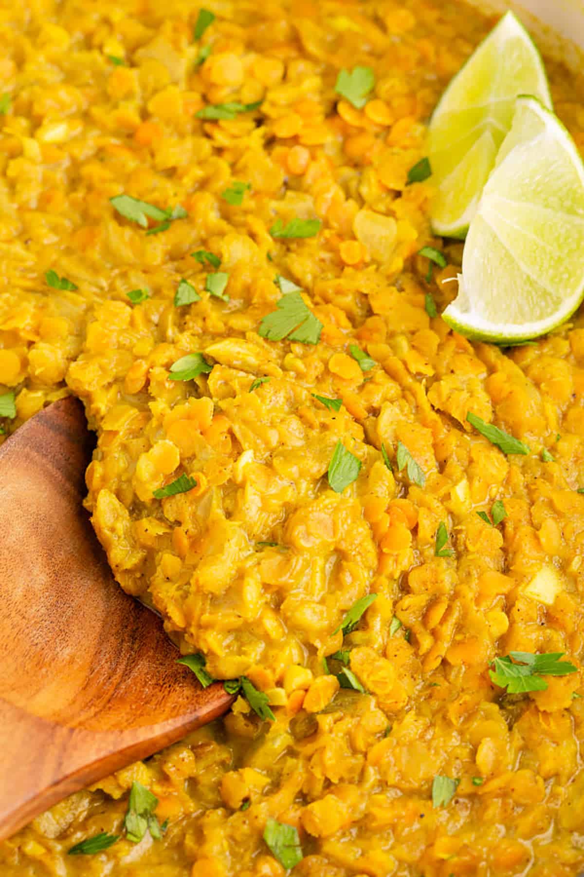 Coconut Milk Curry Lentils spooned in a pan