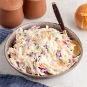 Coleslaw Dressing Recipe in a Bowl up close
