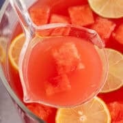 Watermelon Punch with Ladle in Punch Bowl with Sliced Lemons, Limes, and Watermelon Cubes