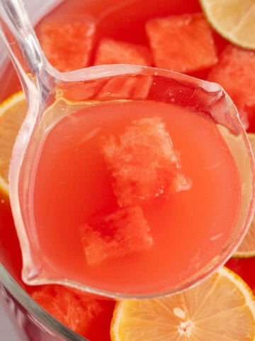 Watermelon Punch with Ladle in Punch Bowl with Sliced Lemons, Limes, and Watermelon Cubes