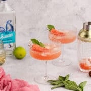 Watermelon Sour Served in Coupe with Watermelon Cube and Mint Leaf Garnish