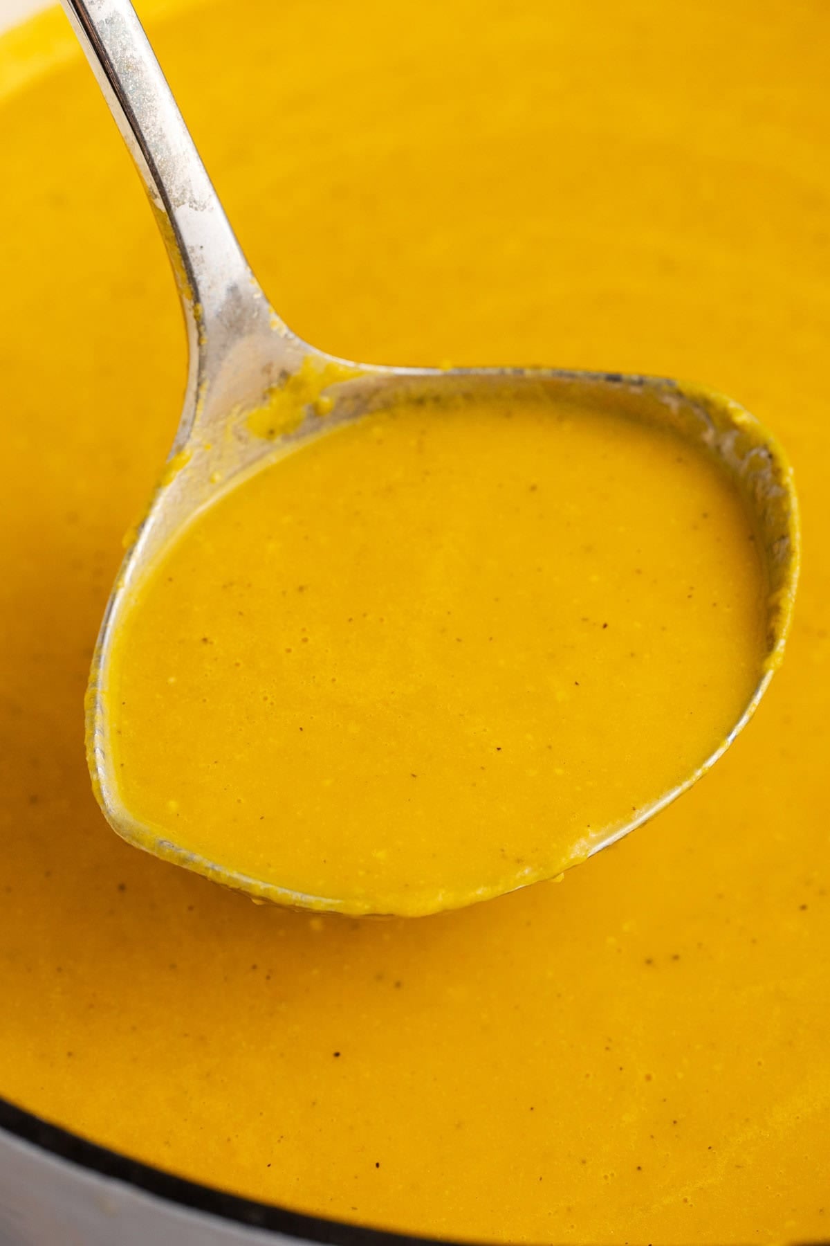 Italian Penicillin Soup Ladled from Dutch Oven