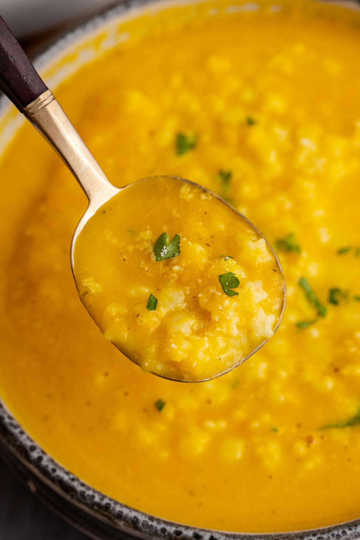 Italian Penicillin Soup on a Spoon with Fresh Parsley Garnish