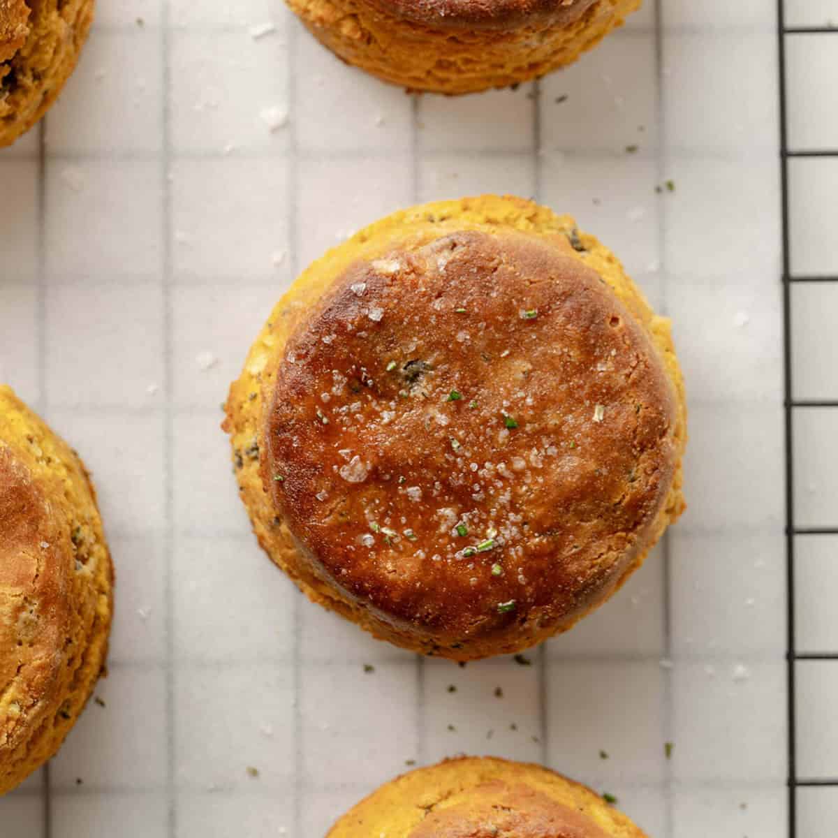 Gluten Free Pumpkin Biscuits on parchment paper on a wire rack close up