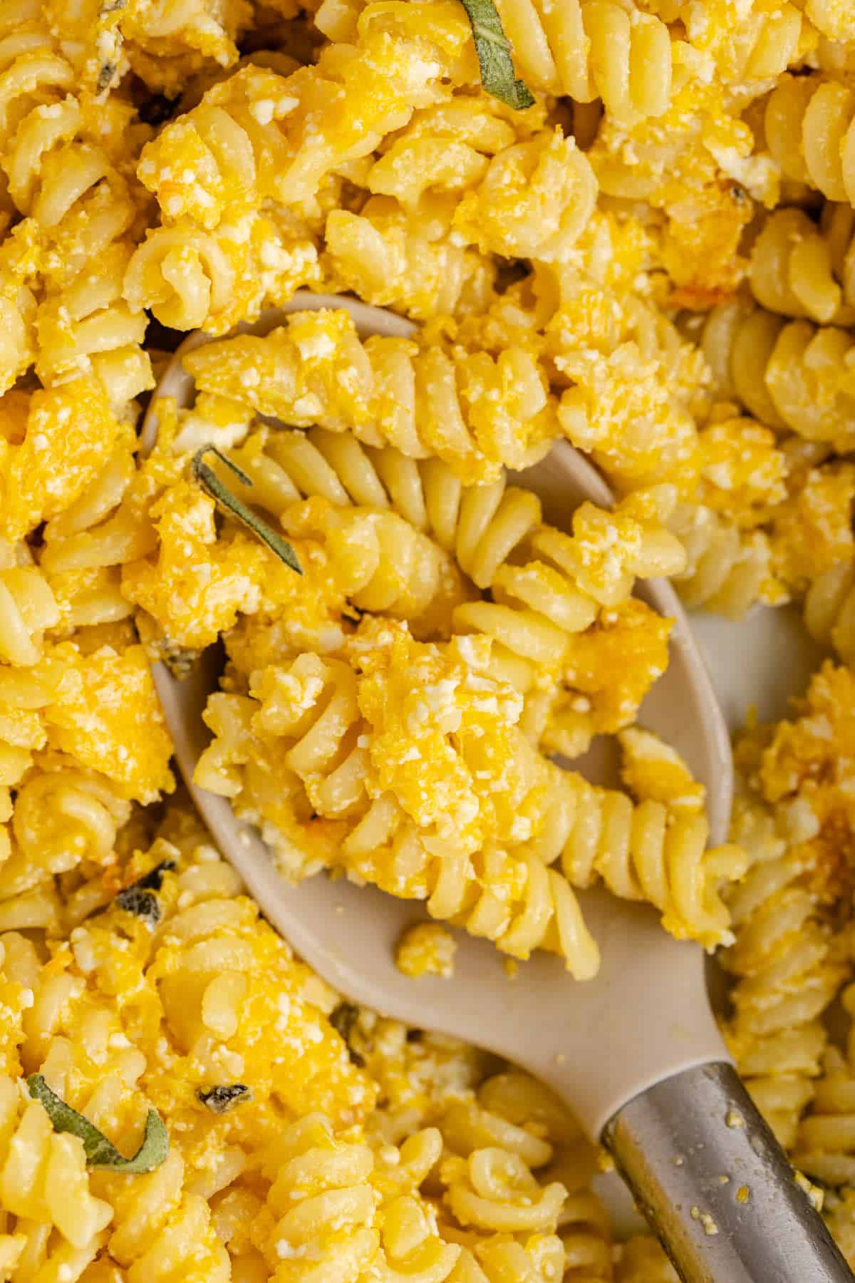 Butternut Squash Feta Pasta close up on a serving spoon in the baking dish