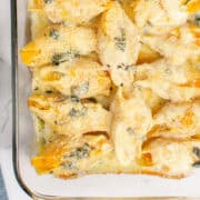 Butternut Squash Stuffed Shells in a baking dish freshly baked