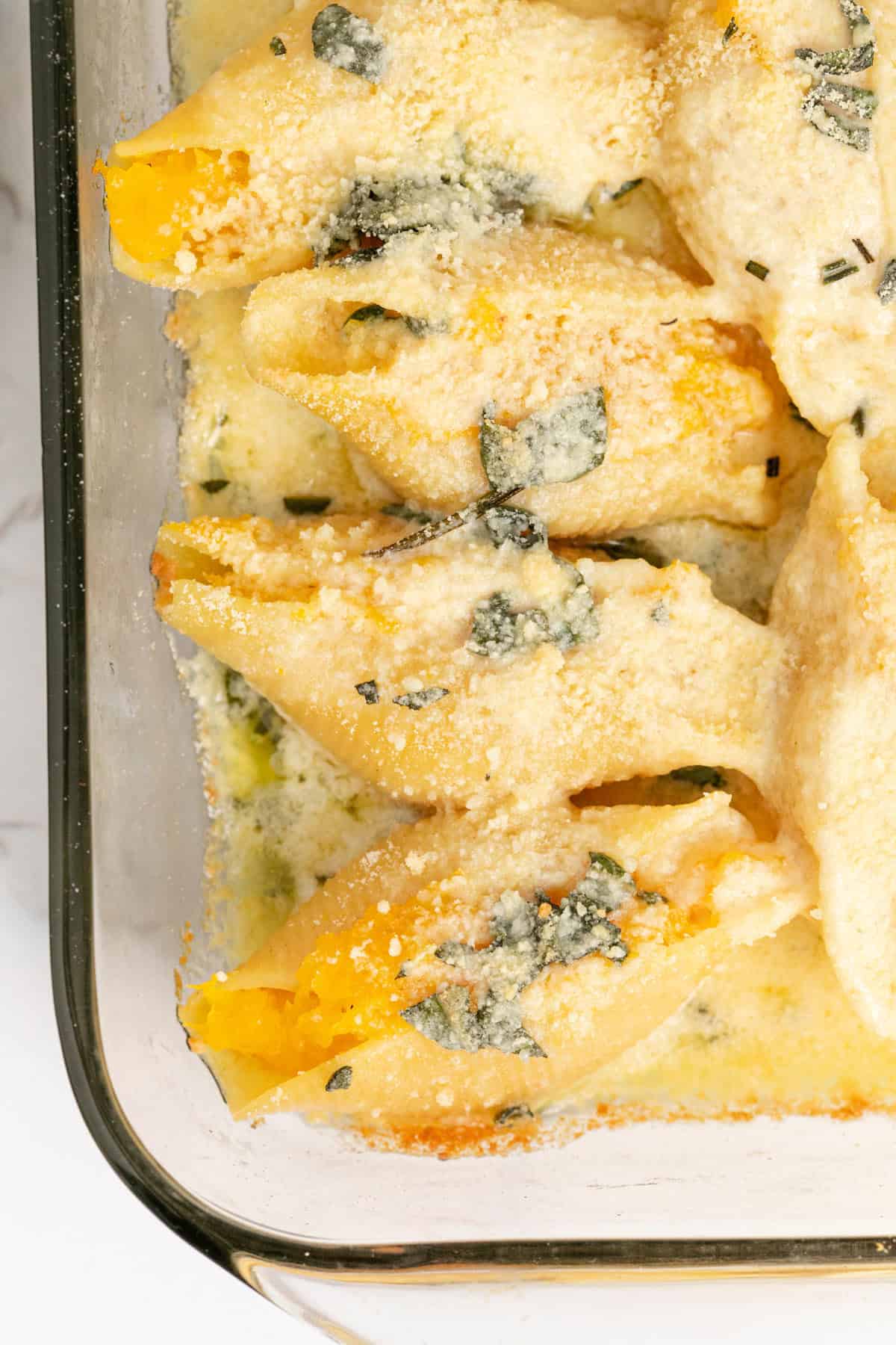 Butternut Squash Stuffed Shells in a Baking Dish Covered in Creamy Sage Sauce and Parmesan Cheese