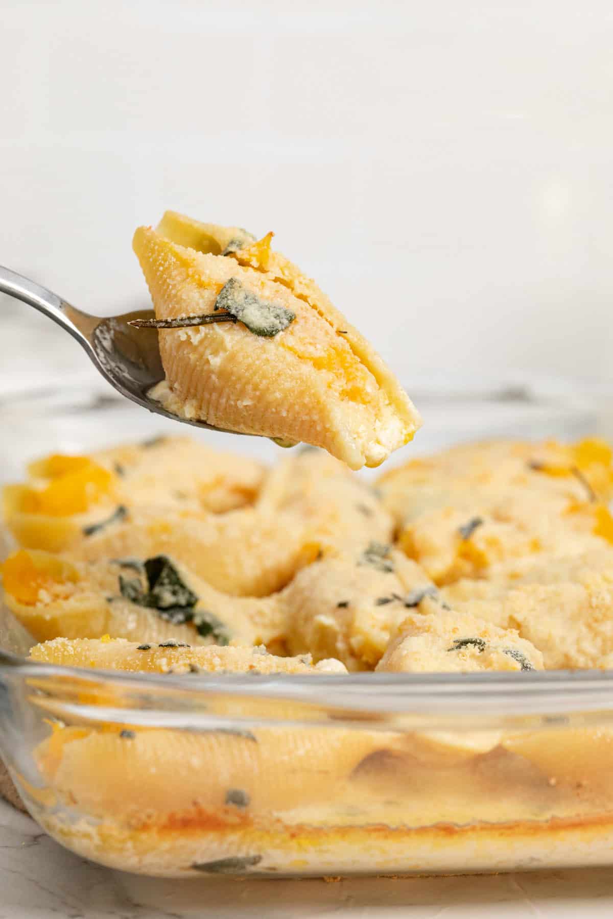 Fork Lifting Butternut Squash Stuffed Shell with Creamy Sage Sauce from Baking Dish