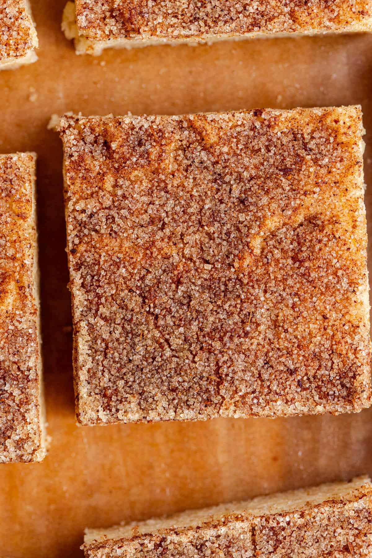 Snickerdoodle Cookie Bars close up from above