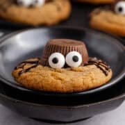 Spider Cookies propped up on a black dish close up