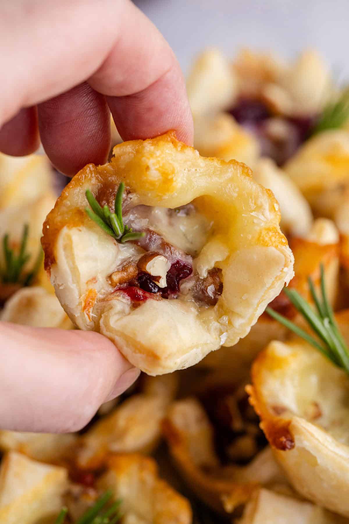 Hand Picking Up Cranberry Brie Bite Garnished with Fresh Rosemary