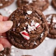 Peppermint Brownie Cookies being held close up