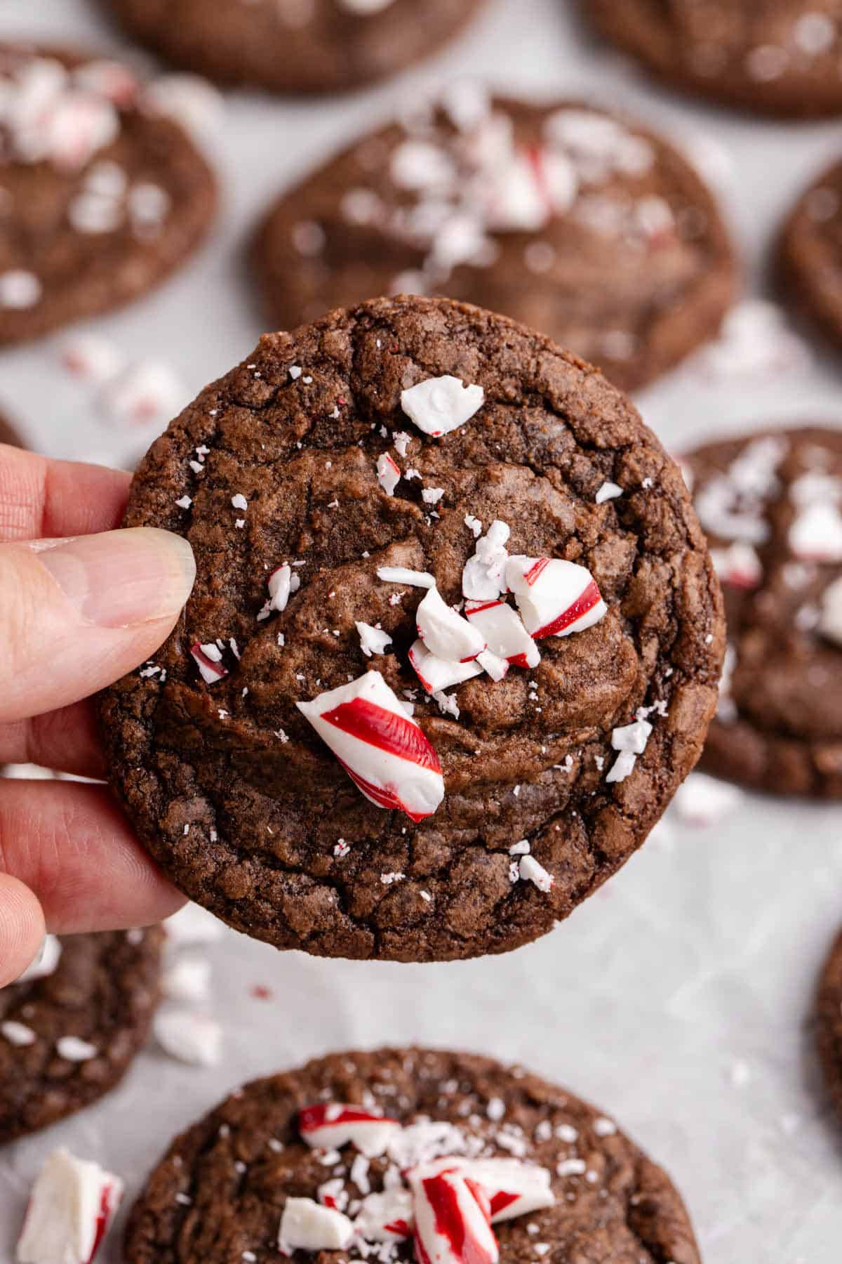 Peppermint Brownie Cookies being held