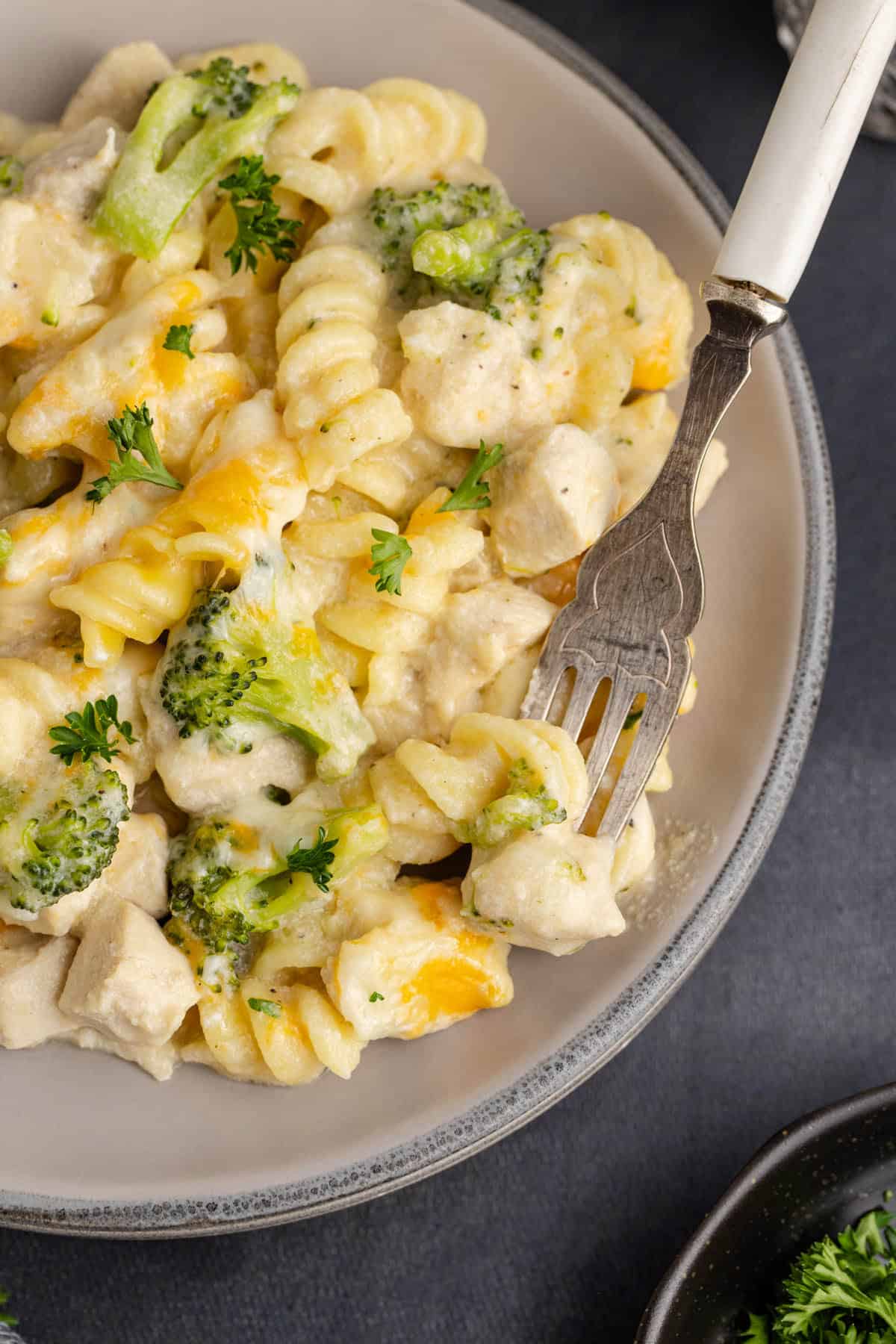 Cheesy Chicken Casserole on a plate close up