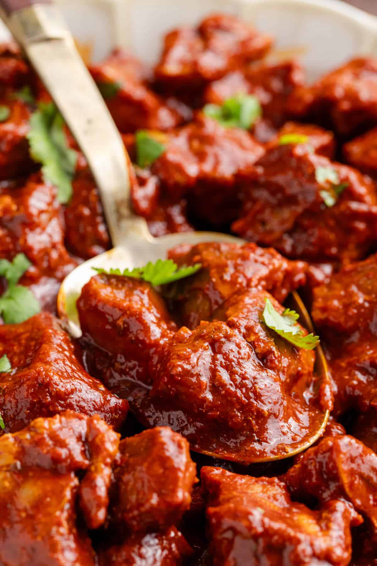 Asado de Puerco close up on a serving spoon