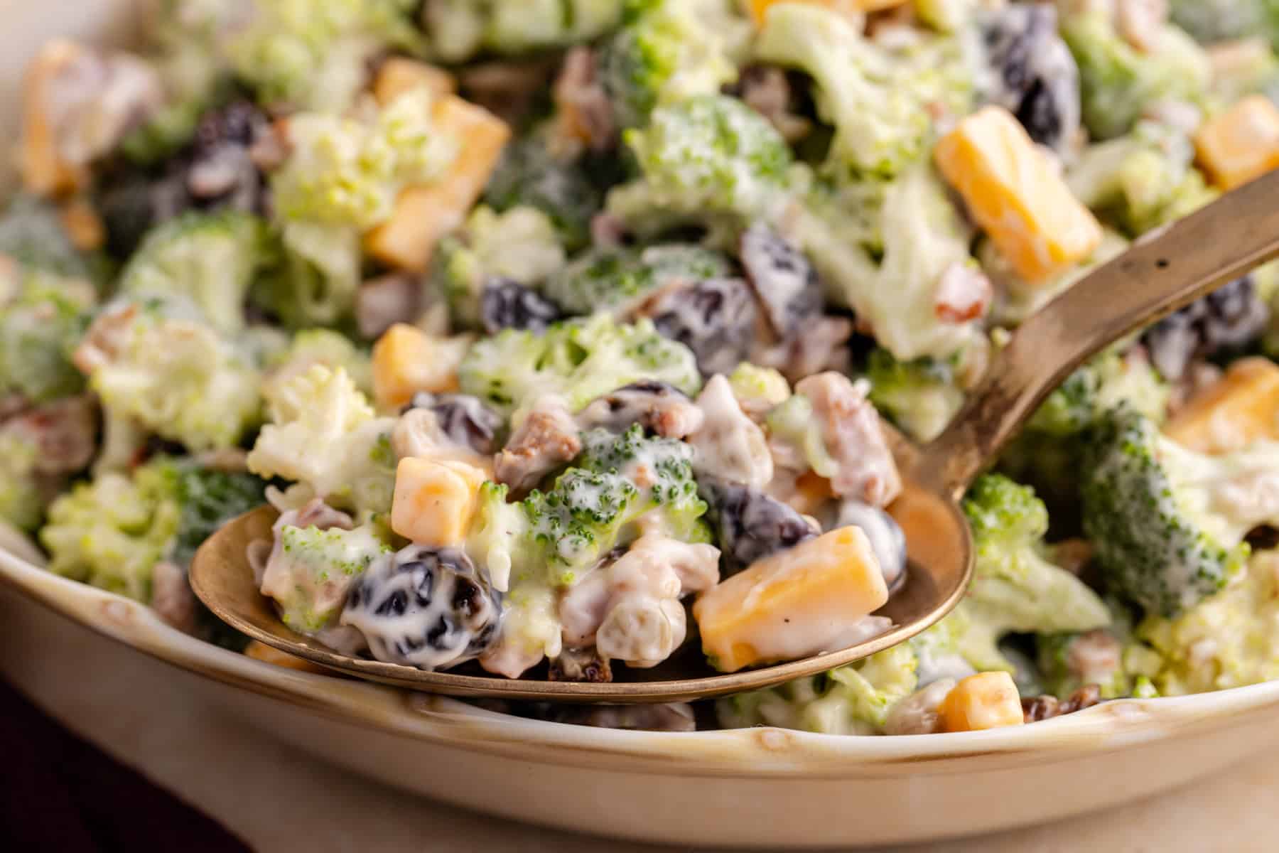 Close up of Broccoli Salad with Cranberries on a serving spoon in the bowl