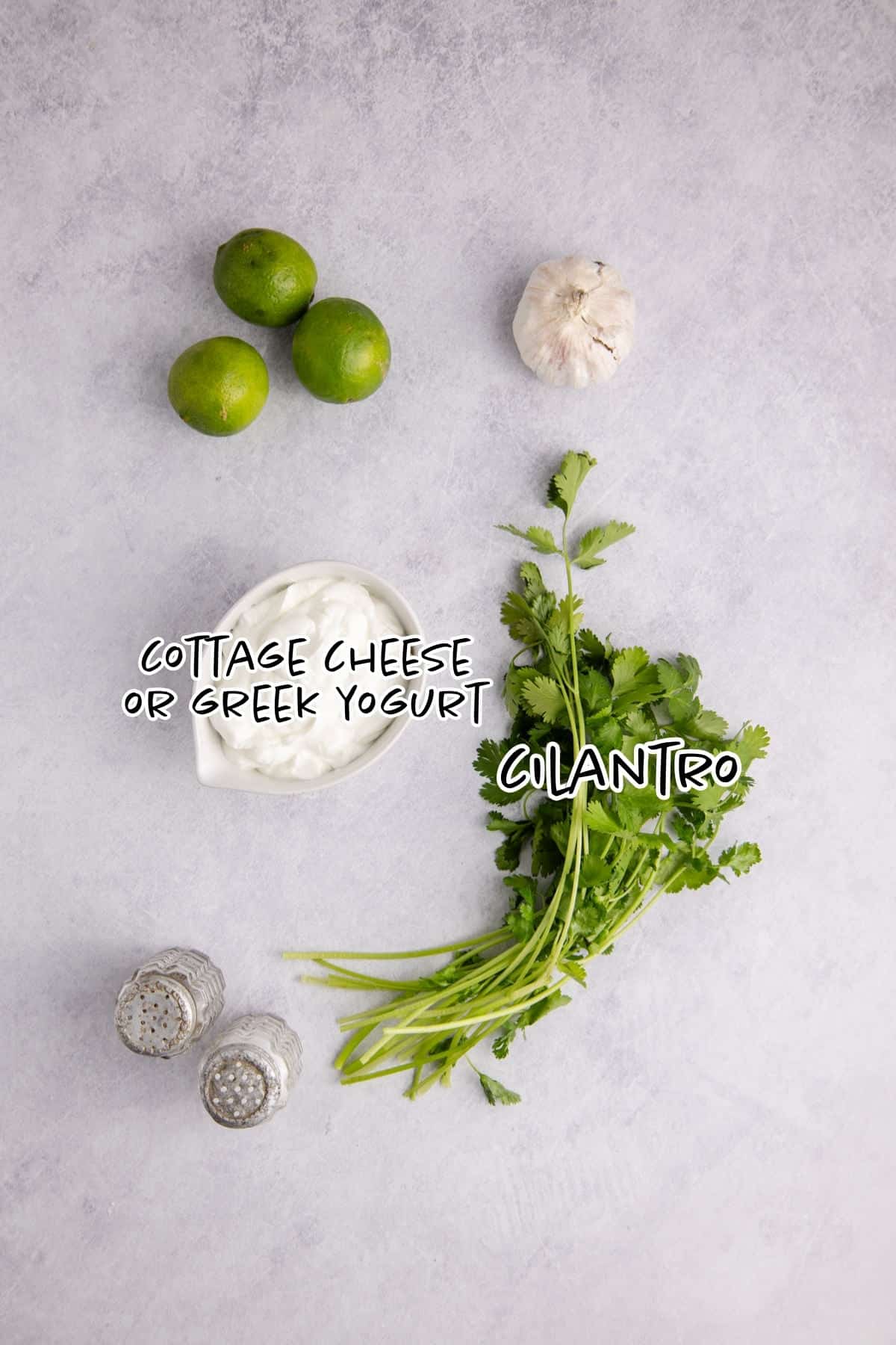 Cilantro Lime Dressing Ingredients on a counter