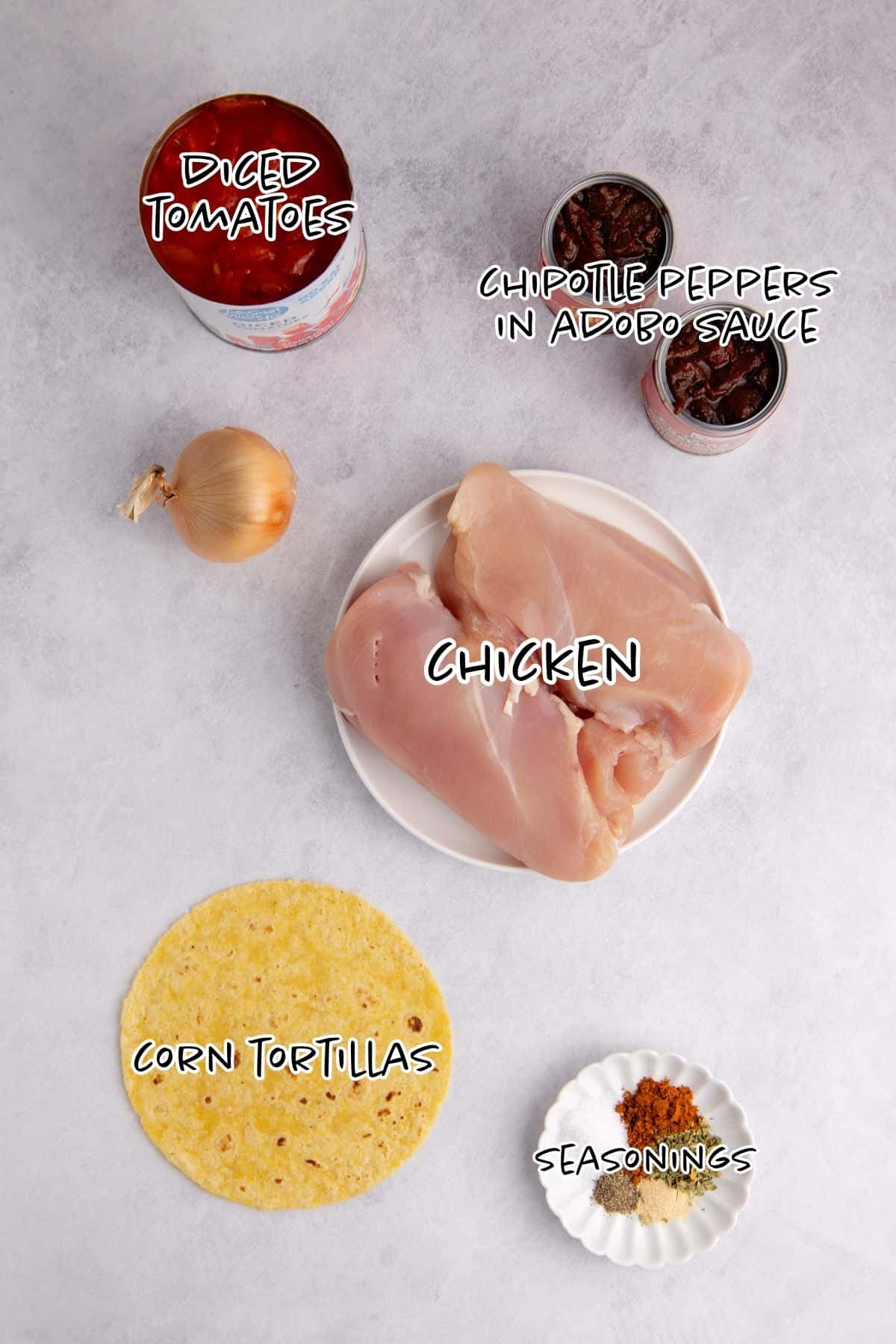 Instant Pot Chicken Tinga Tacos Ingredients on a counter