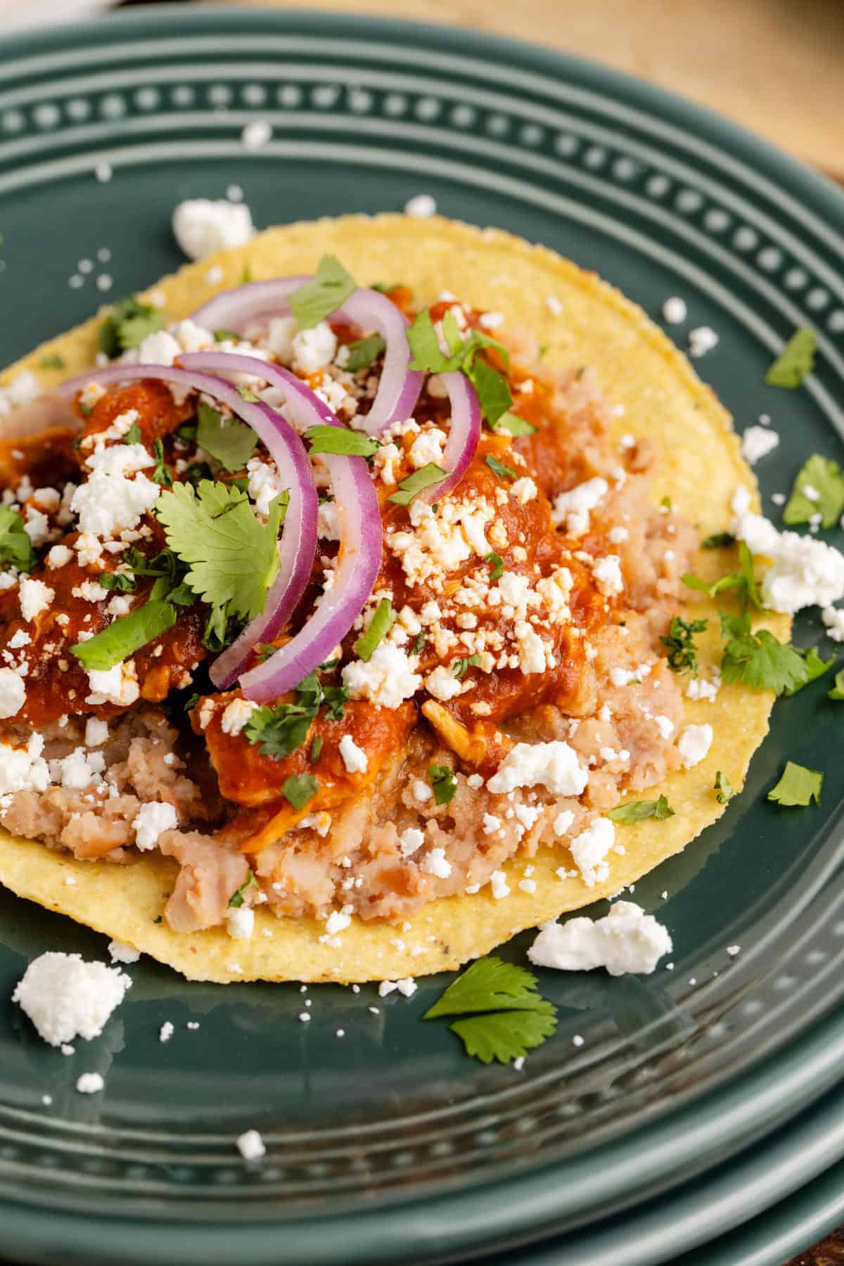 Tostados de Tinga from above, close up