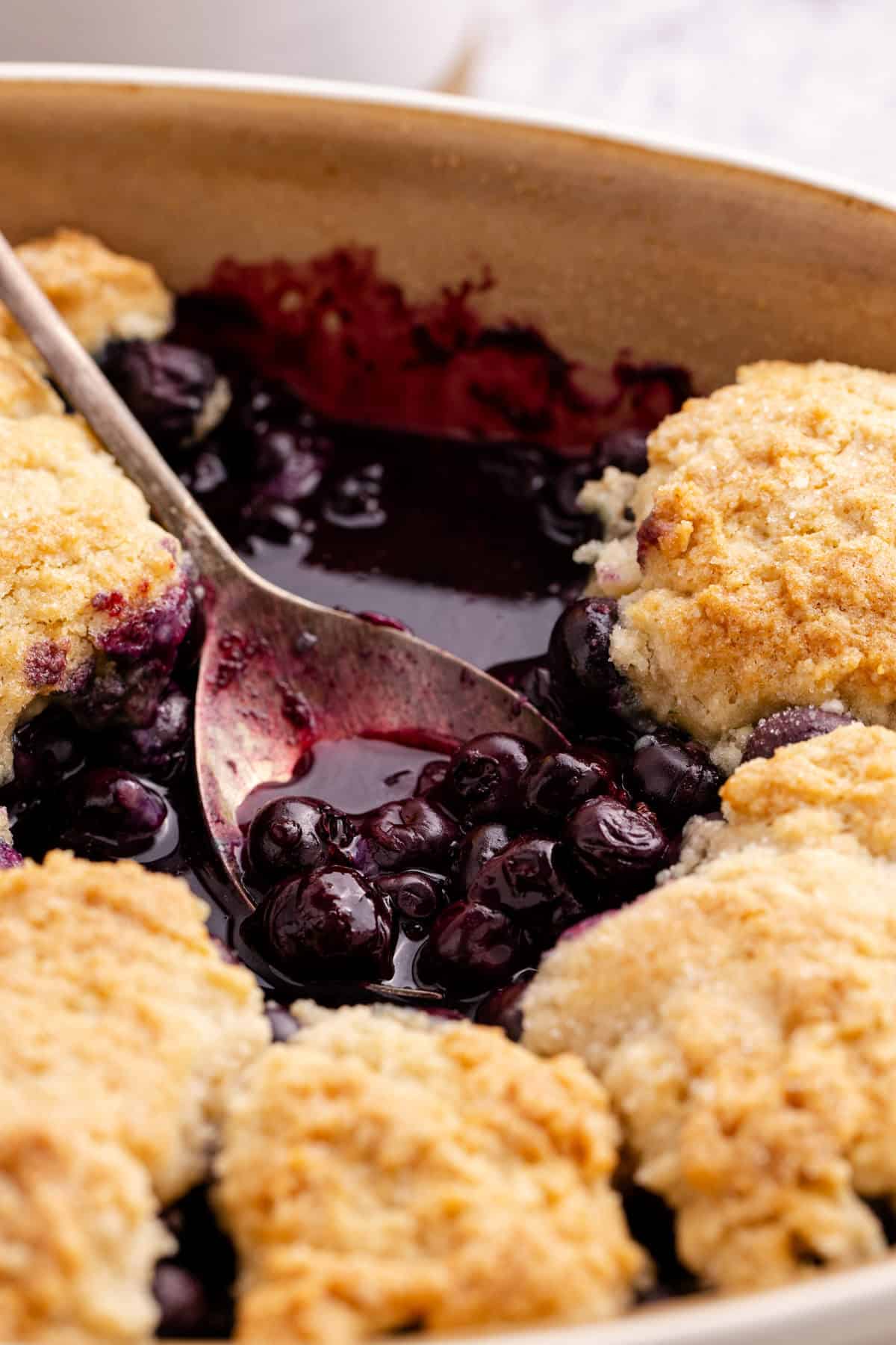 A spoonful of blueberries on a Blueberry Cobbler up close