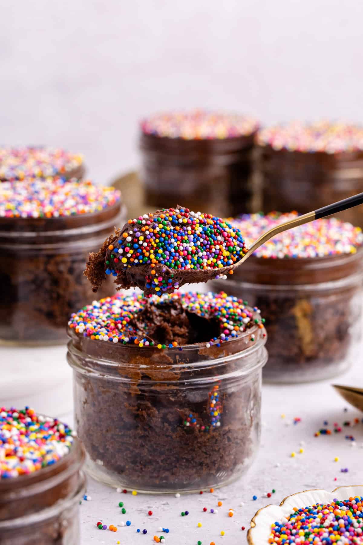 Chocolate Viral Dot Cake with a spoonful above