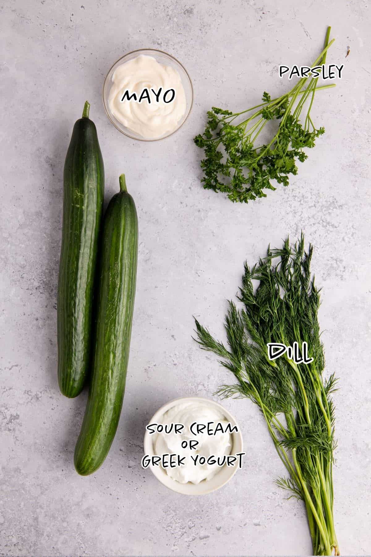 Creamy Cucumber Salad ingredients on a counter