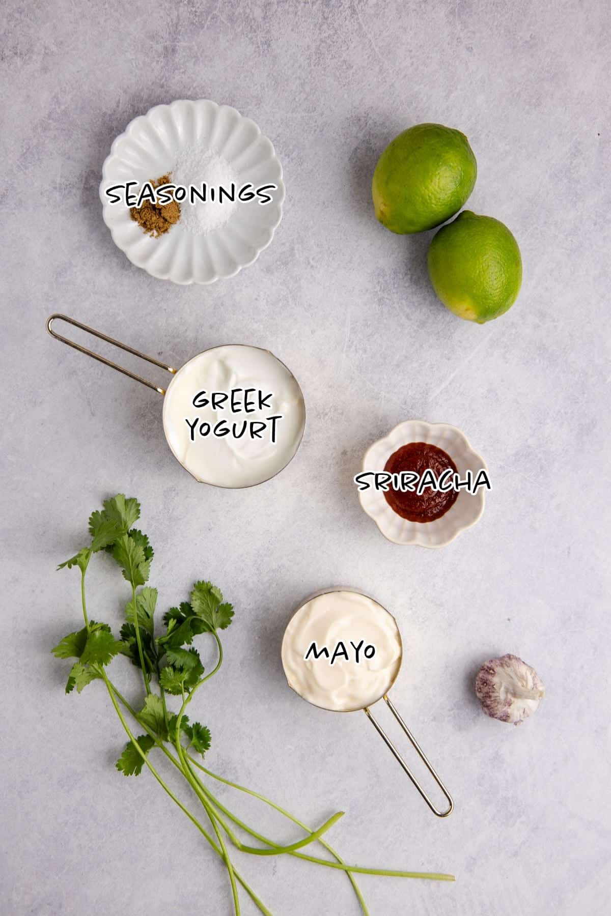 Fish Sauce Ingredients on a counter