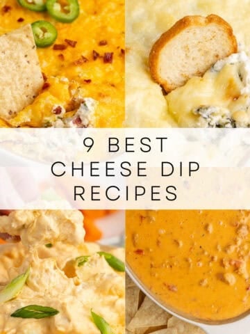 9 best cheese dips roundup collage